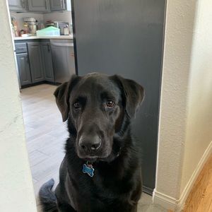 Meet your Posher, Diego